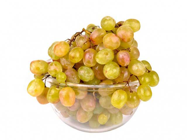 在线轰炸电话软件版